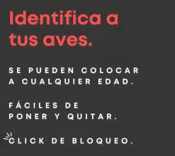 Anillas clic