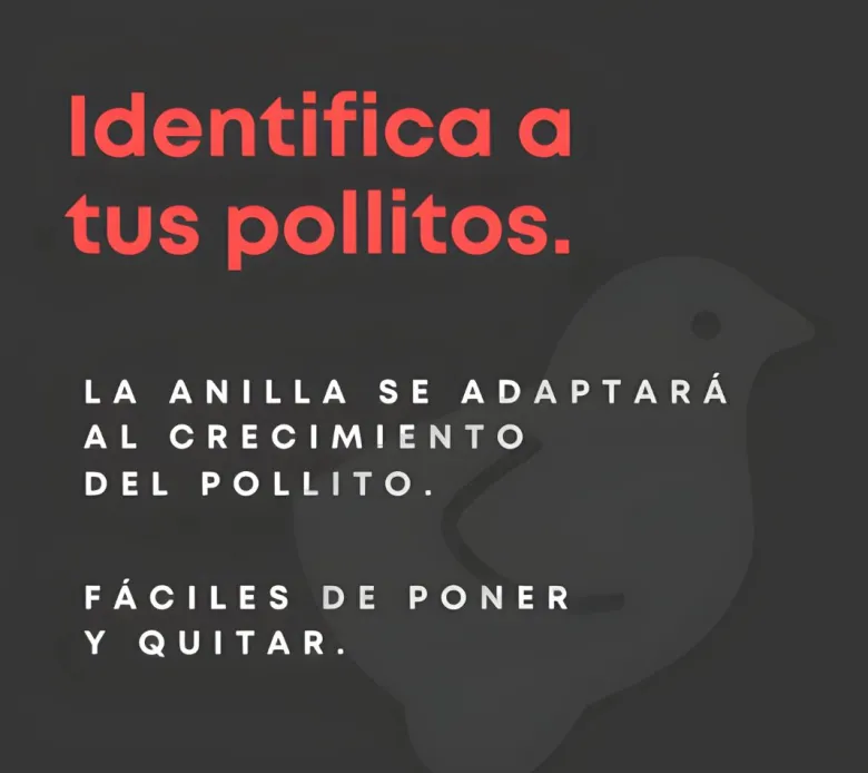 Anillas flexibles para pollitos
