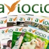 AVIOCIO - Pack de revistas