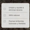 Baño de arena para aves de corral