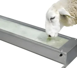 Bebedero automático de pared para ganado y perros