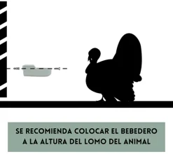 Bebedero automático de plástico