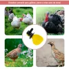 Bebedero basculante pequeño