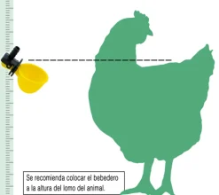 Bebedero basculante pequeño