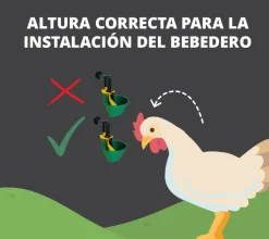 Bebedero de pared