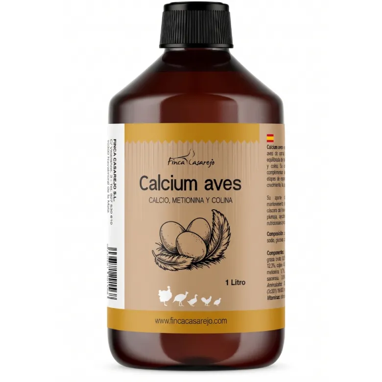 Calcium aves