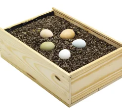 Cama mágica para ponederos