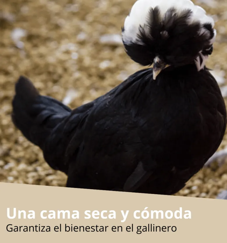 Cama para aves con tabaco