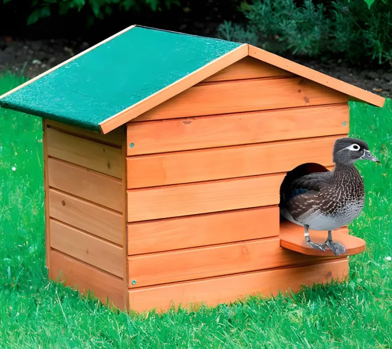 Caseta de patos de madera