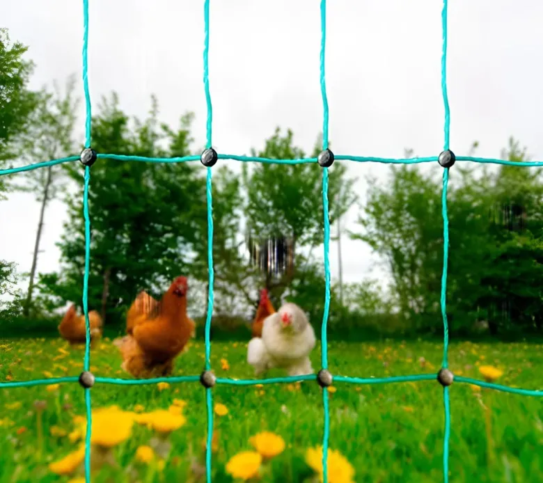Cercado para gallinas