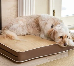 Cojín para perros