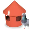 Comedero/bebedero para palomas