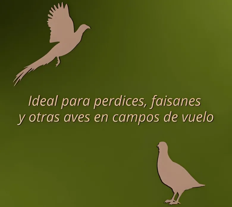 Comedero para perdices de campo