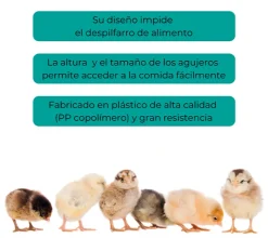 Comedero pollitos lineal
