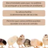 Comedero pollitos - Primera edad