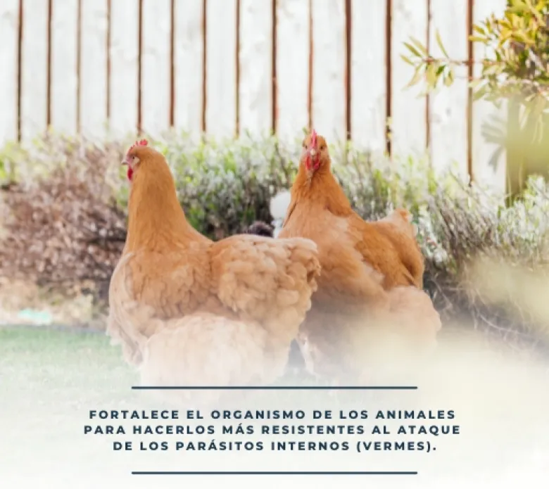 CompriVerm