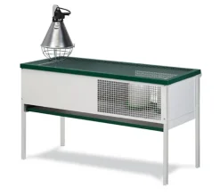 Criadora de pollitos eco