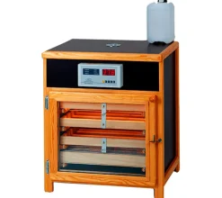 Euro-Lux III