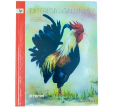 Exterior de las gallinas