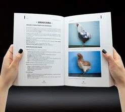 Gallinas de raza