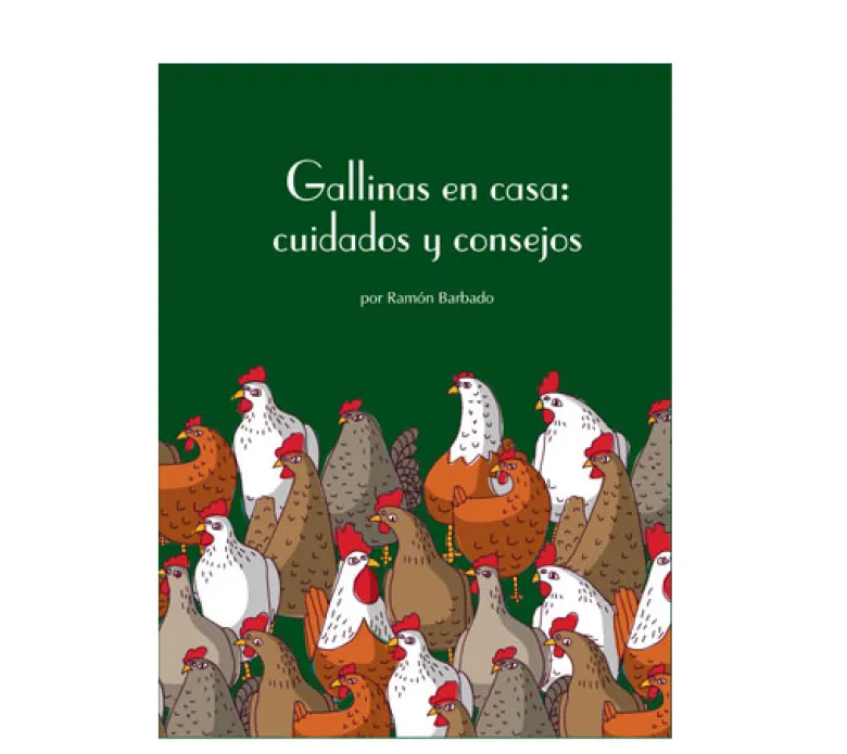 Gallinas en casa: cuidados y consejos