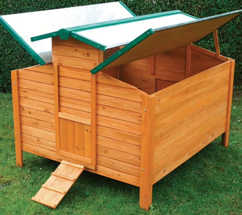 Gallinero Calgary