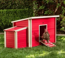 Gallinero Dallas