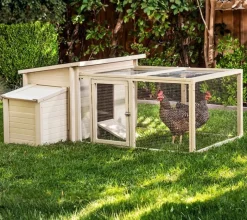 Gallinero Dallas con parque