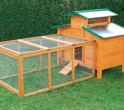 Gallinero Ottawa