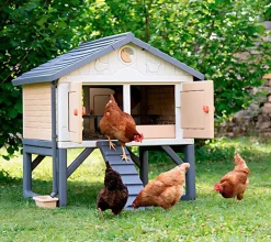 Gallinero para niños
