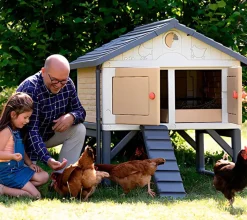 Gallinero para niños