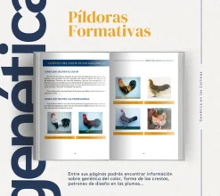 Genética en las gallinas