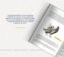 Genética en las gallinas