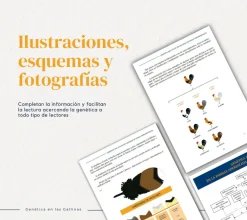 Genética en las gallinas