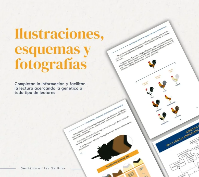 Genética en las gallinas