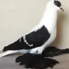 Golondrina de Sajonia