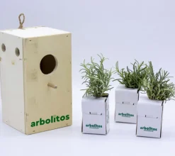 Helicriso