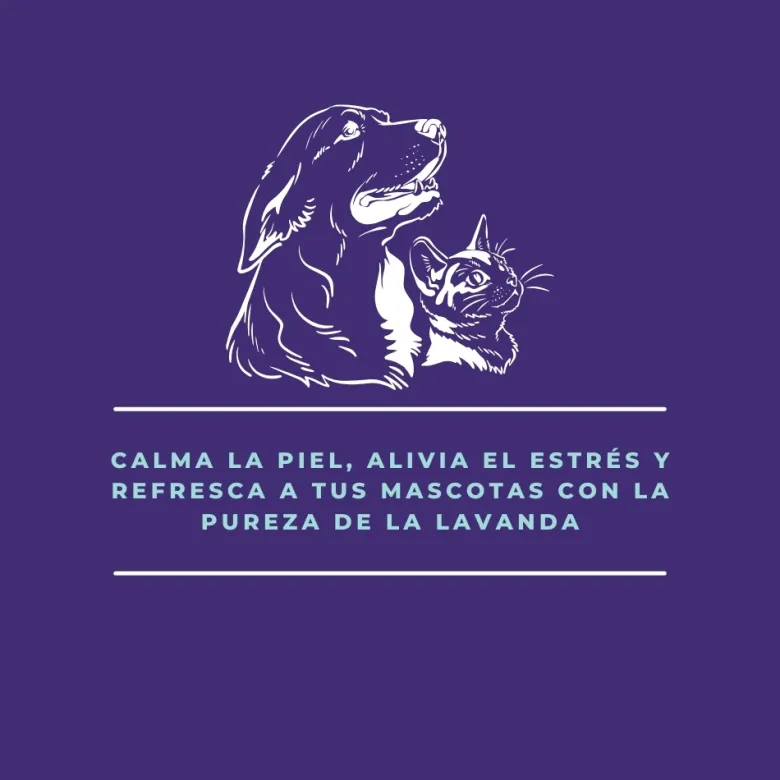 Hidrolato de lavanda