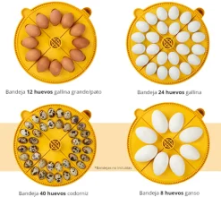 Incubadora Brinsea Maxi 24 Advance