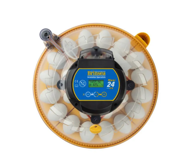 Incubadora Brinsea Maxi 24 EX