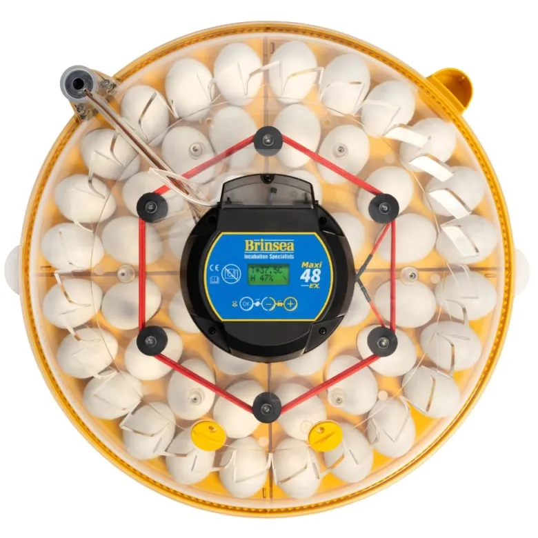 Incubadora Brinsea Maxi 48 EX