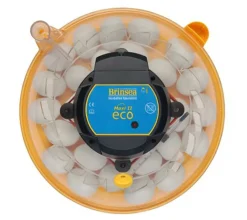 Incubadora Brinsea Maxi II Eco