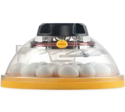 Incubadora Brinsea Maxi II Eco