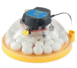 Incubadora Brinsea Maxi II Eco