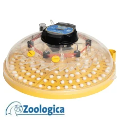 Incubadora Brinsea Maxi 48 Zoologica