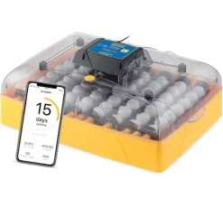 Incubadora Brinsea Ovation 56 Connect
