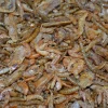 Insectos - Mix