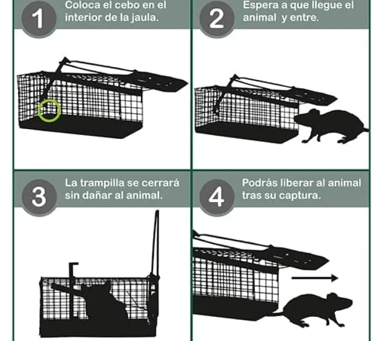 Jaula trampa ratas