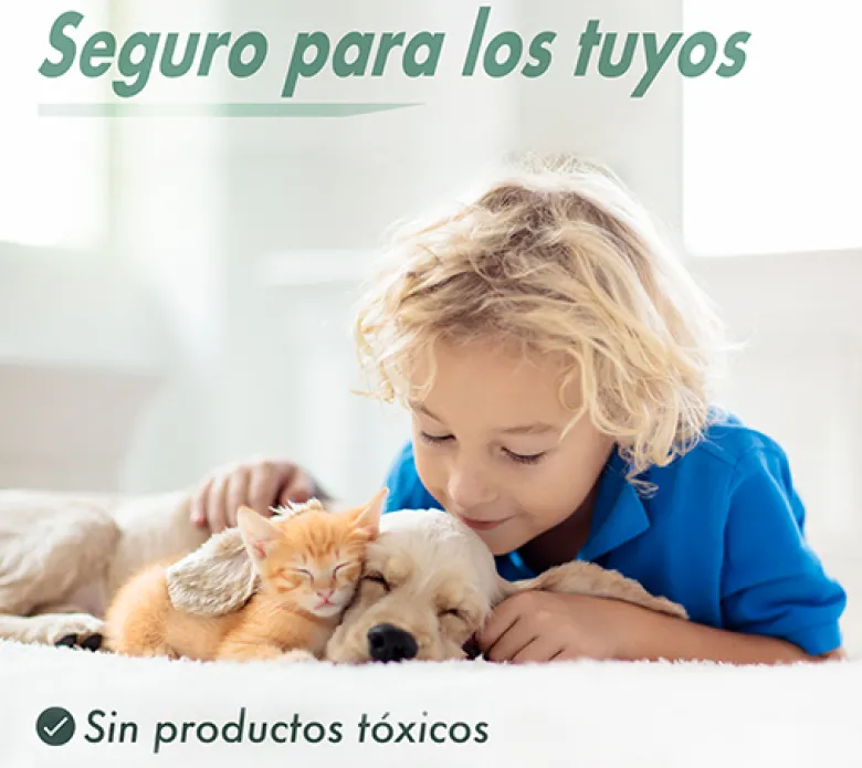 Jaula trampa ratones