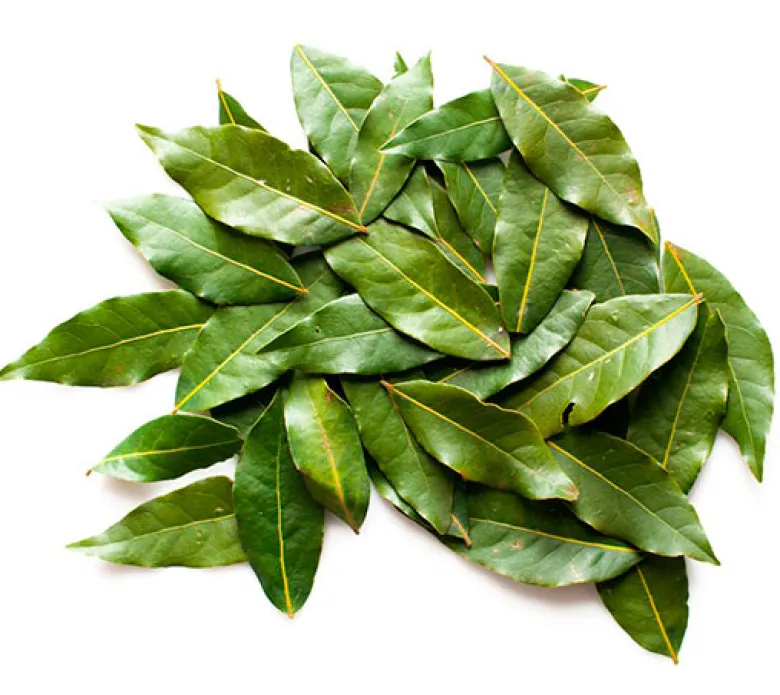 Laurel
